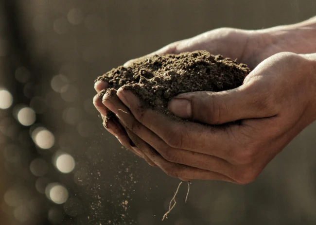 Proyectos ejecutivos saneamiento y social para Programa de Saneamiento Ambiental Cuenca Río Ipojuca